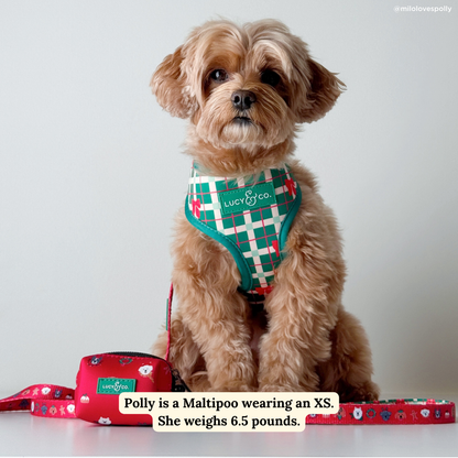 Happy Howlidays Reversible Harness