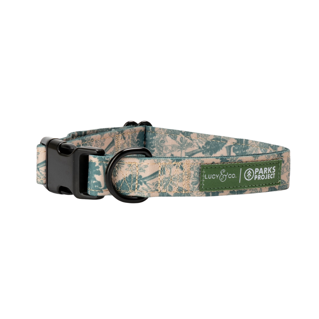 Lucy & Co. x Parks Project Sequoia Seedlings Collar