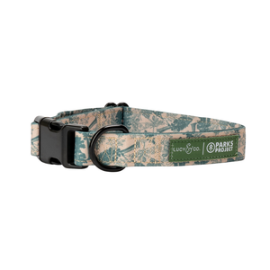 Lucy & Co. x Parks Project Sequoia Seedlings Collar
