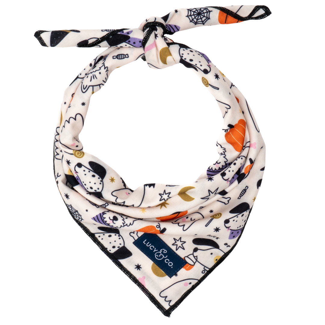 Howloween Bandana