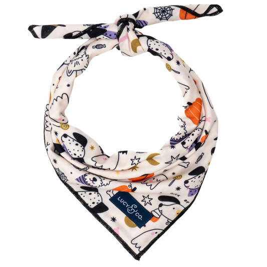 Howloween Bandana