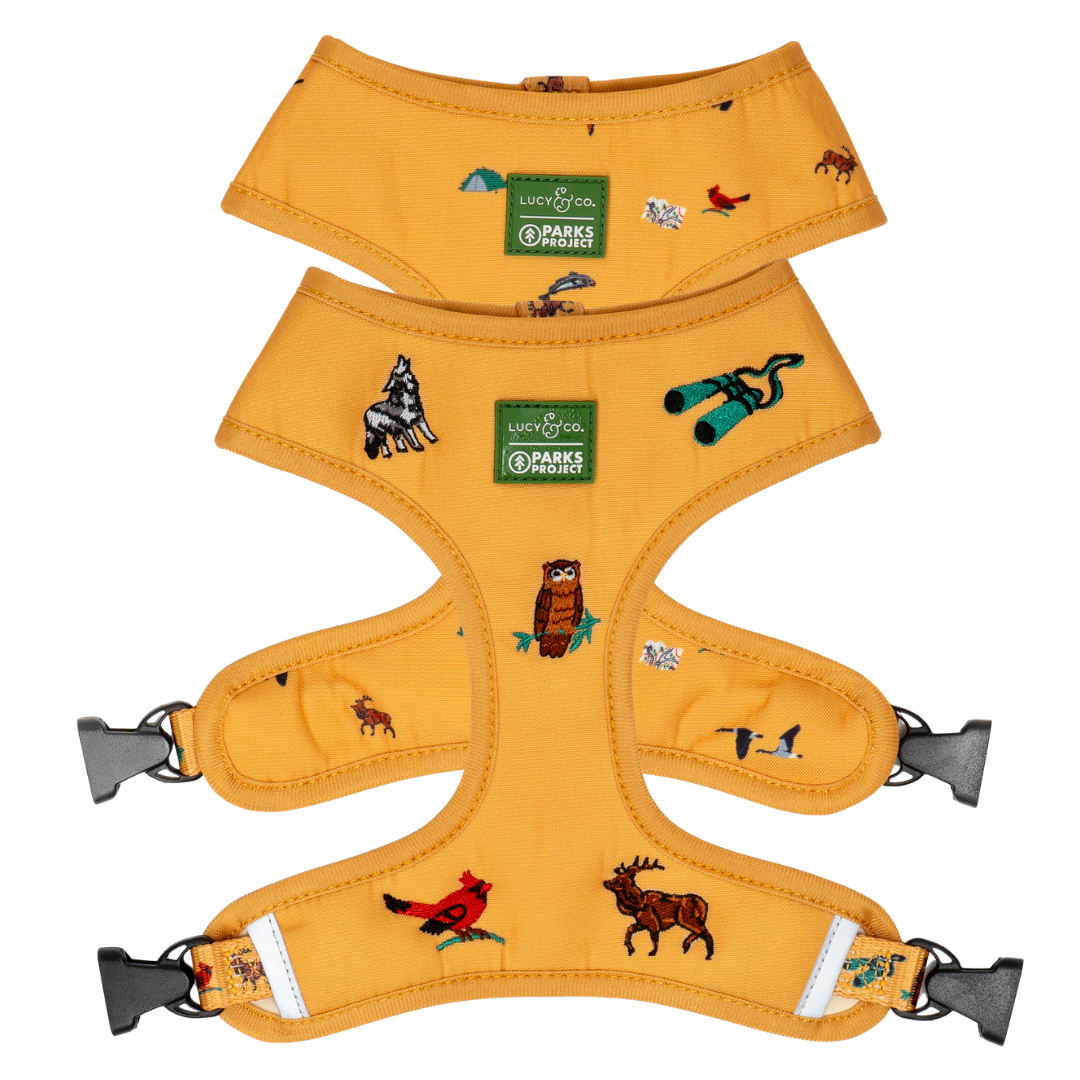 Lucy & Co. x Parks Project Naturalist Club Canvas Reversible Harness