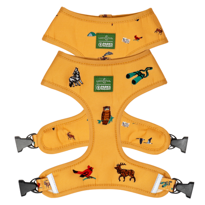 Lucy & Co. x Parks Project Naturalist Club Canvas Reversible Harness