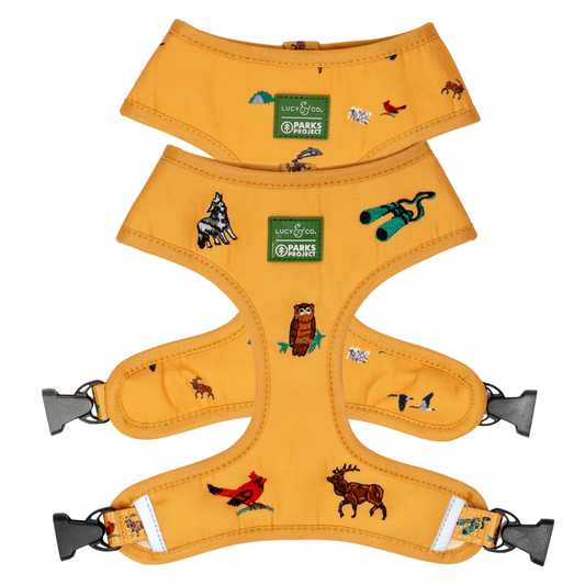 Lucy & Co. x Parks Project Naturalist Club Canvas Reversible Harness