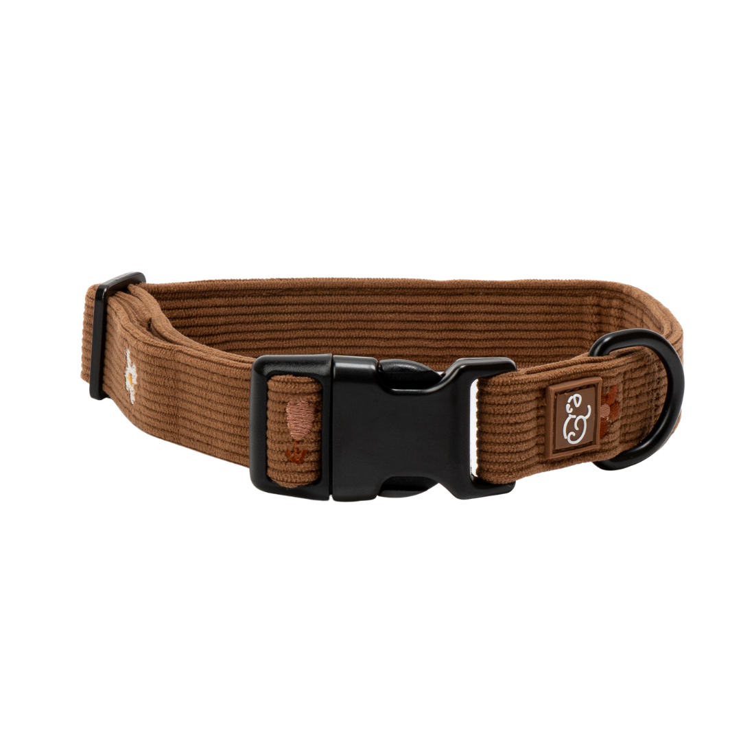 Chocolate Meadows Corduroy Collar