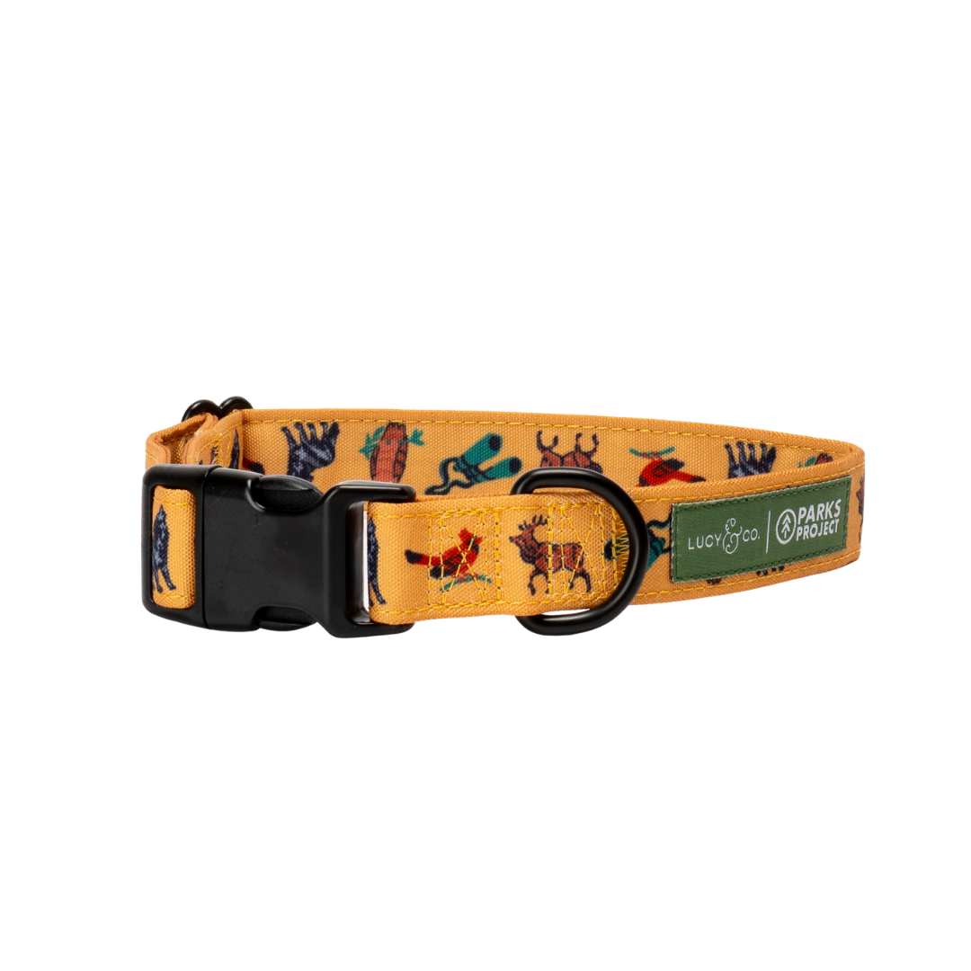 Lucy & Co. x Parks Project Naturalist Club Collar