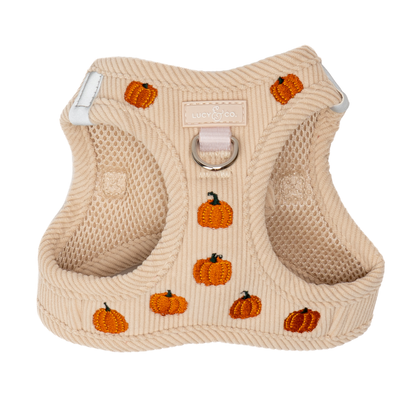 Oh My Gourd Corduroy Step-in Cat Harness