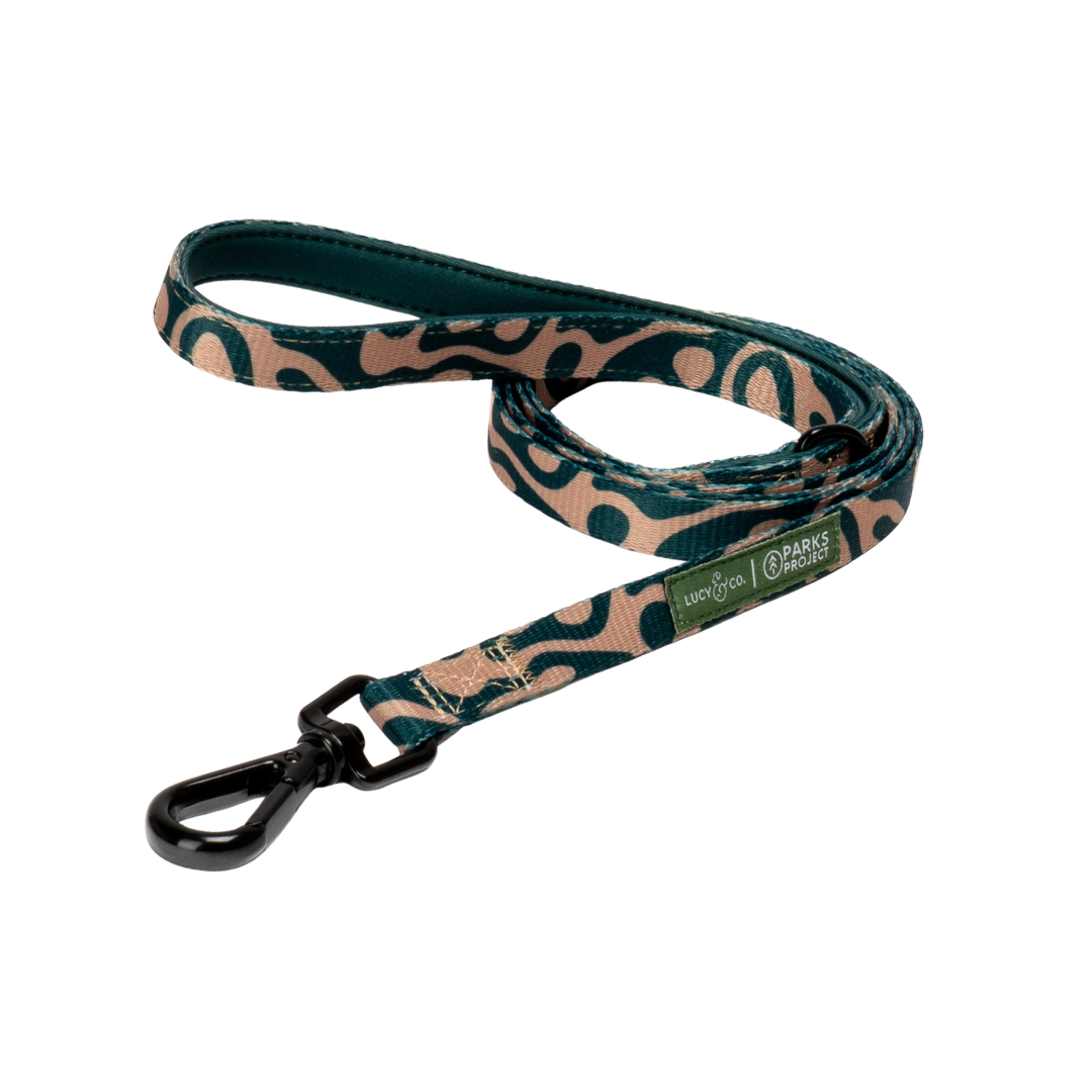 Lucy & Co. x Parks Project Geyser Cat Leash
