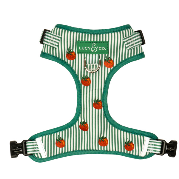 Tomato, Tomahto Embroidered No-Pull Harness | Lucy & Co.