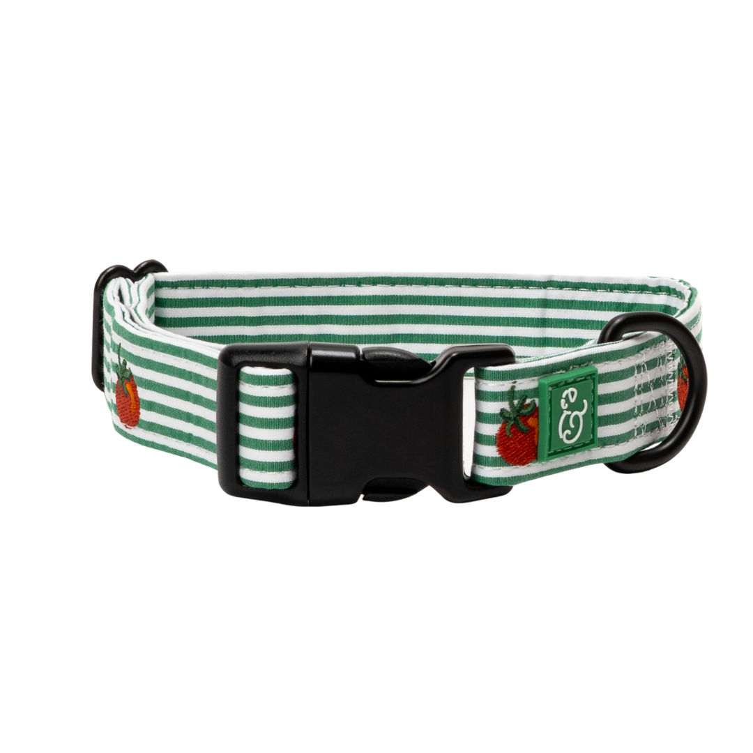 Tomato, Tomahto Embroidered Collar