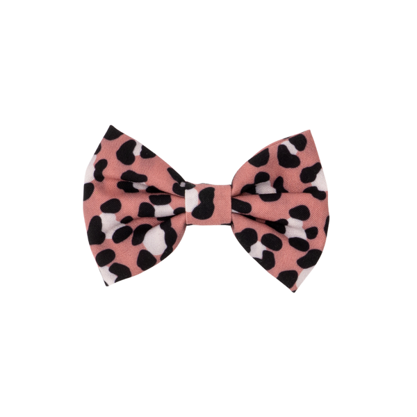 Wild Side Cat (& Small Dog) Bow Tie – Lucy & Co.