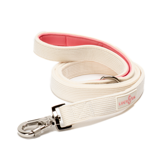 Ivory Corduroy Leash