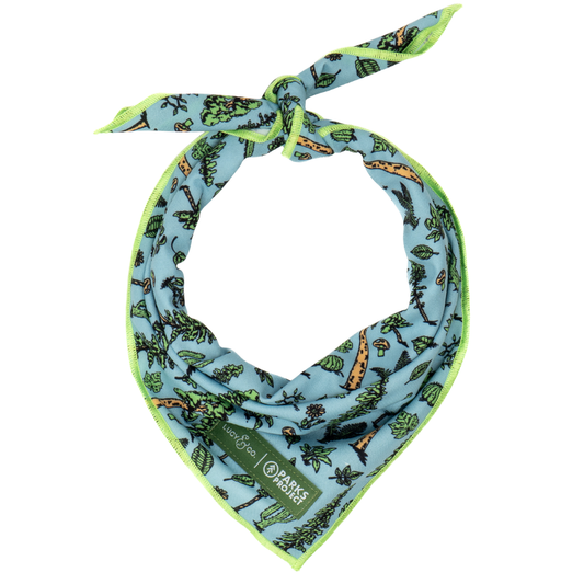 Lucy & Co. x Parks Project Feel the Earth Breathe Bandana