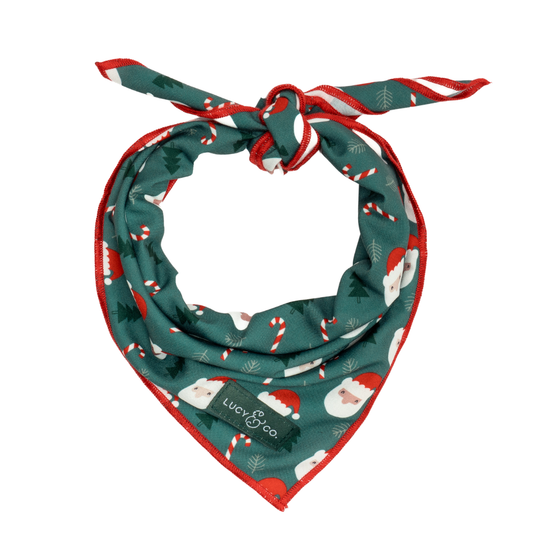 Santa Land Bandana