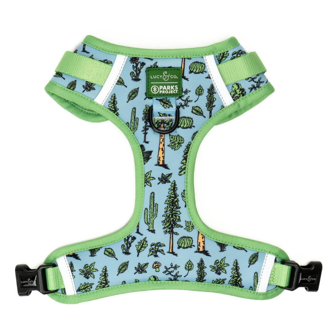 Feel the Earth Breathe No-Pull Harness
