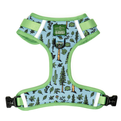 Feel the Earth Breathe No-Pull Harness