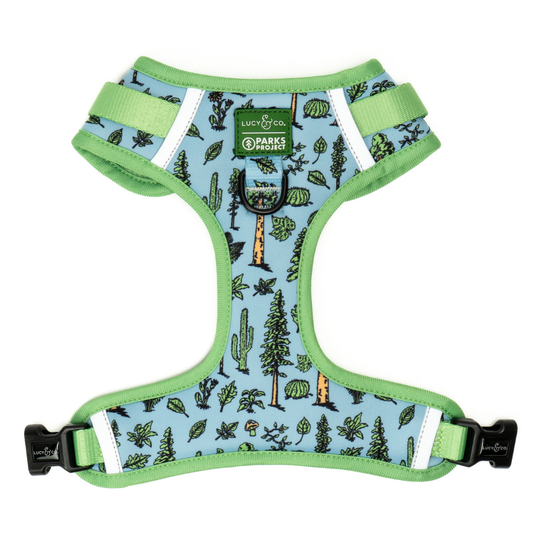 Feel the Earth Breathe No-Pull Harness