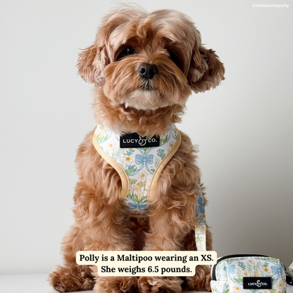 Sunshine and Daffodils Reversible Harness