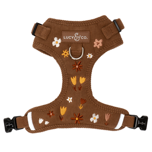 Chocolate Meadows Corduroy No-Pull Harness