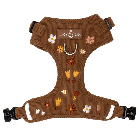 Chocolate Meadows Corduroy No-Pull Harness
