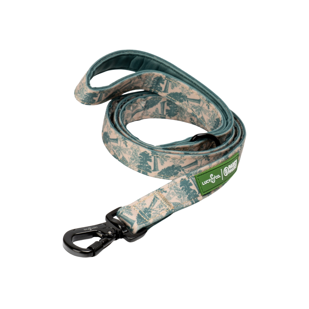 Lucy & Co. x Parks Project Sequoia Seedlings Leash