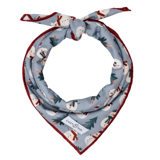 Snow Much Fun Bandana