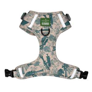 Lucy & Co. x Parks Project Sequoia Seedlings No-Pull Harness
