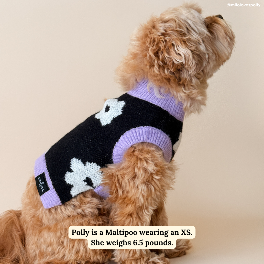 Far Out Sweater