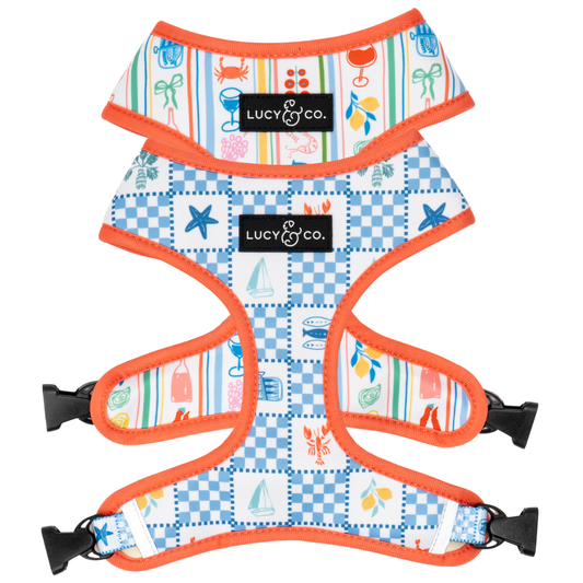 Sunny in Sicily Reversible Harness