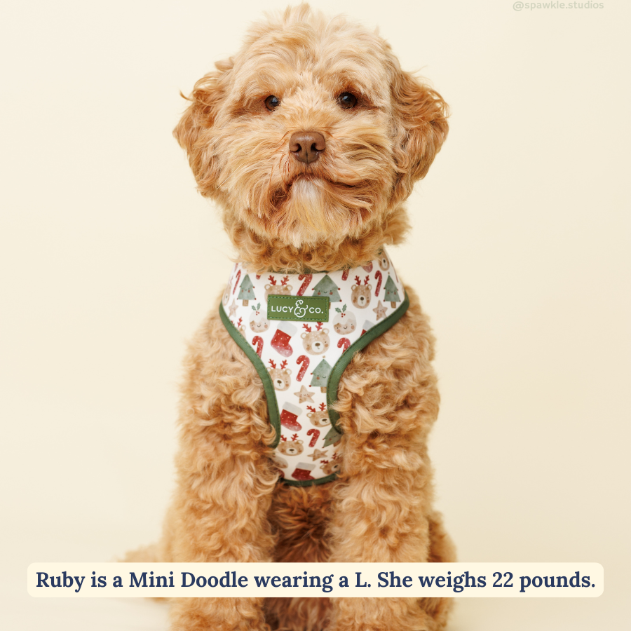 Jingle Bells Reversible Harness