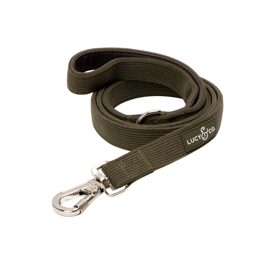 Take a Hike Corduroy Leash