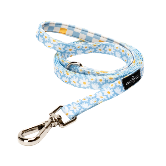 Simply Splendid Cat Leash