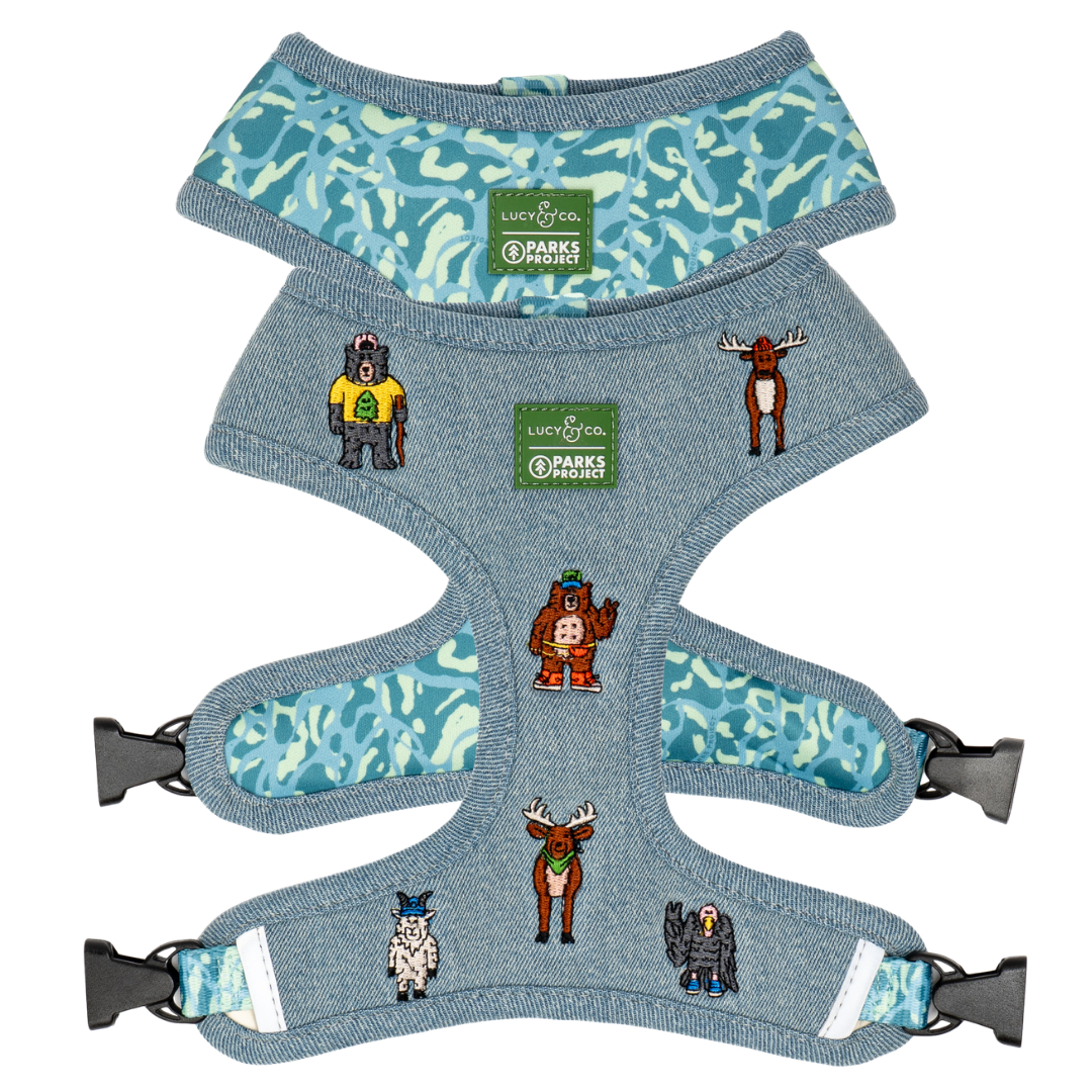 Lucy & Co. x Parks Project Adventures with Friends Reversible Harness