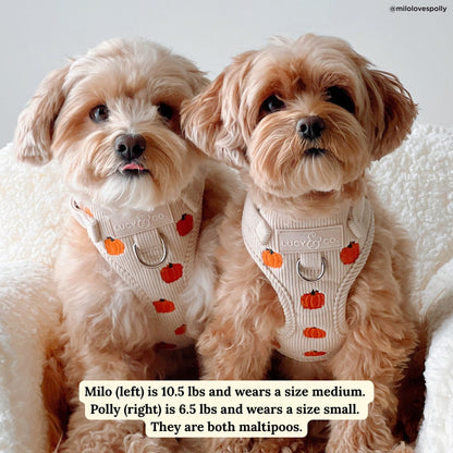 Oh My Gourd Corduroy No-Pull Harness