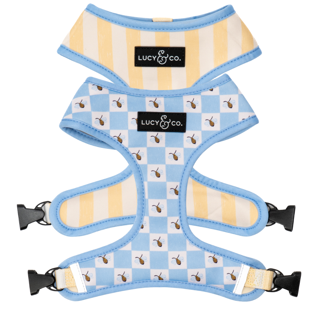 Bumbling Around Reversible Harness