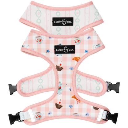 Sipping Slowly Reversible Harness