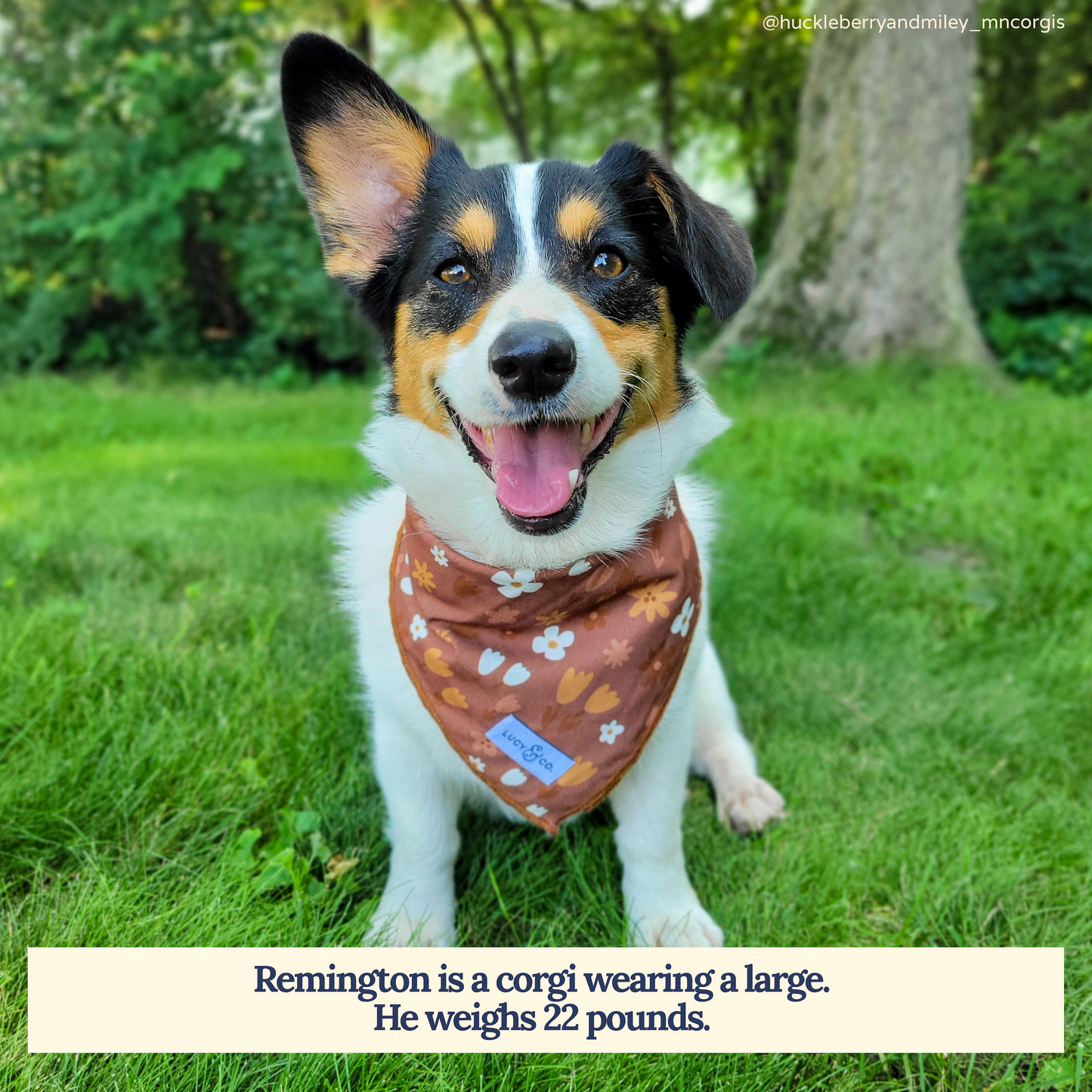 Chocolate Meadows Bandana