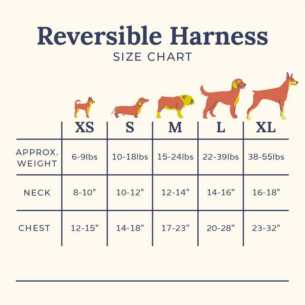 Wrap it Up Reversible Harness