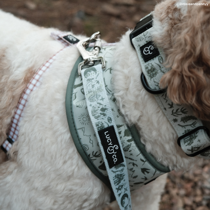 Camp Out Collar