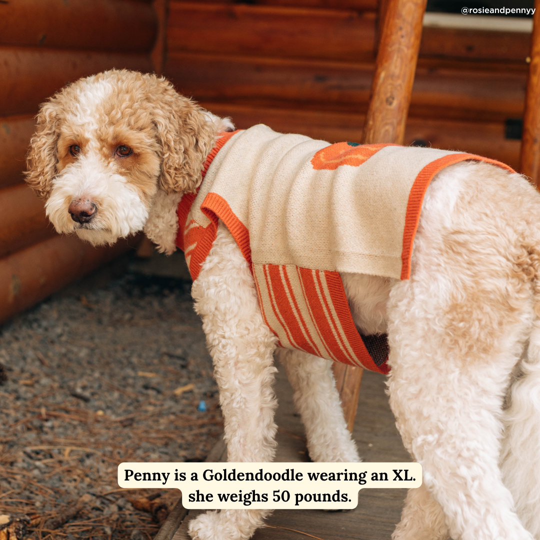 Oh My Gourd Sweater