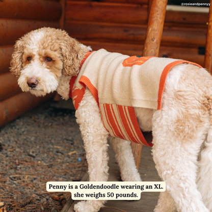 Oh My Gourd Sweater