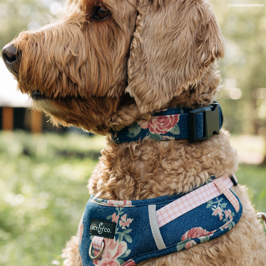 Smell the Roses Denim Collar