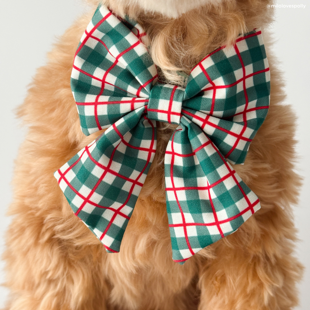 Wrap it Up Bow Tie