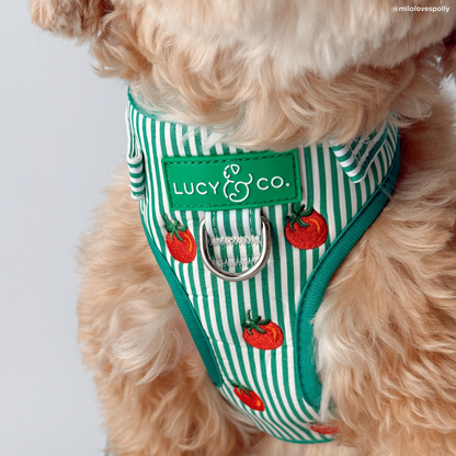 Tomato, Tomahto Embroidered No-Pull Harness