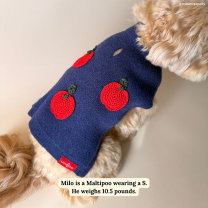 Appley Ever After Heritage Sweater