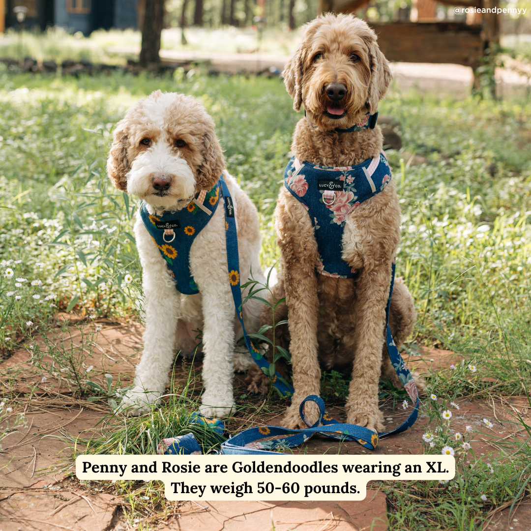 Smell the Roses Denim No-Pull Harness