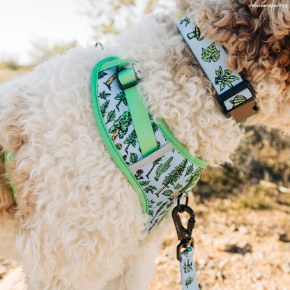 Feel the Earth Breathe No-Pull Harness