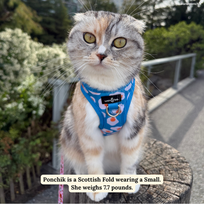 Eggcellent Step-in Cat Harness