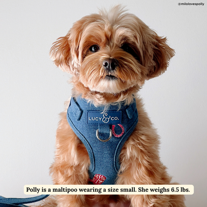 Cute to Boot No-Pull Harness