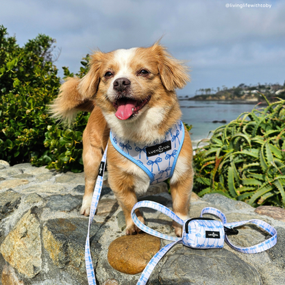 Bowwow Wow! Poop Bag Holder